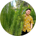 The Kien Chau profile picture