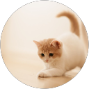 Uyển Ngọc profile picture