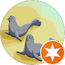 Trang Ngô Dương Thuỳ profile picture