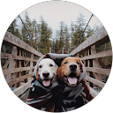 phương mai profile picture