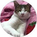 Yến Hoàng profile picture