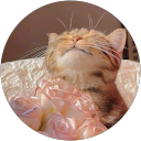 ha tran profile picture