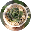 Thuy Duong D.T profile picture