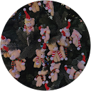 Ngoc Linh Nguyen profile picture