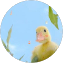 my trà profile picture