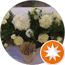 Thao Nguyen profile picture