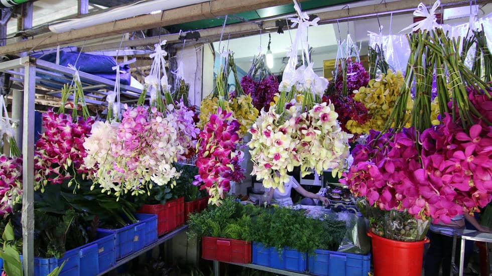 Chợ hoa Hồ Thị Kỷ (8)